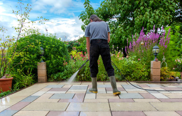 Best Brick and Stone Cleaning in Knoxvle, IL